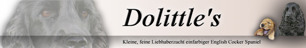 Dolittle's